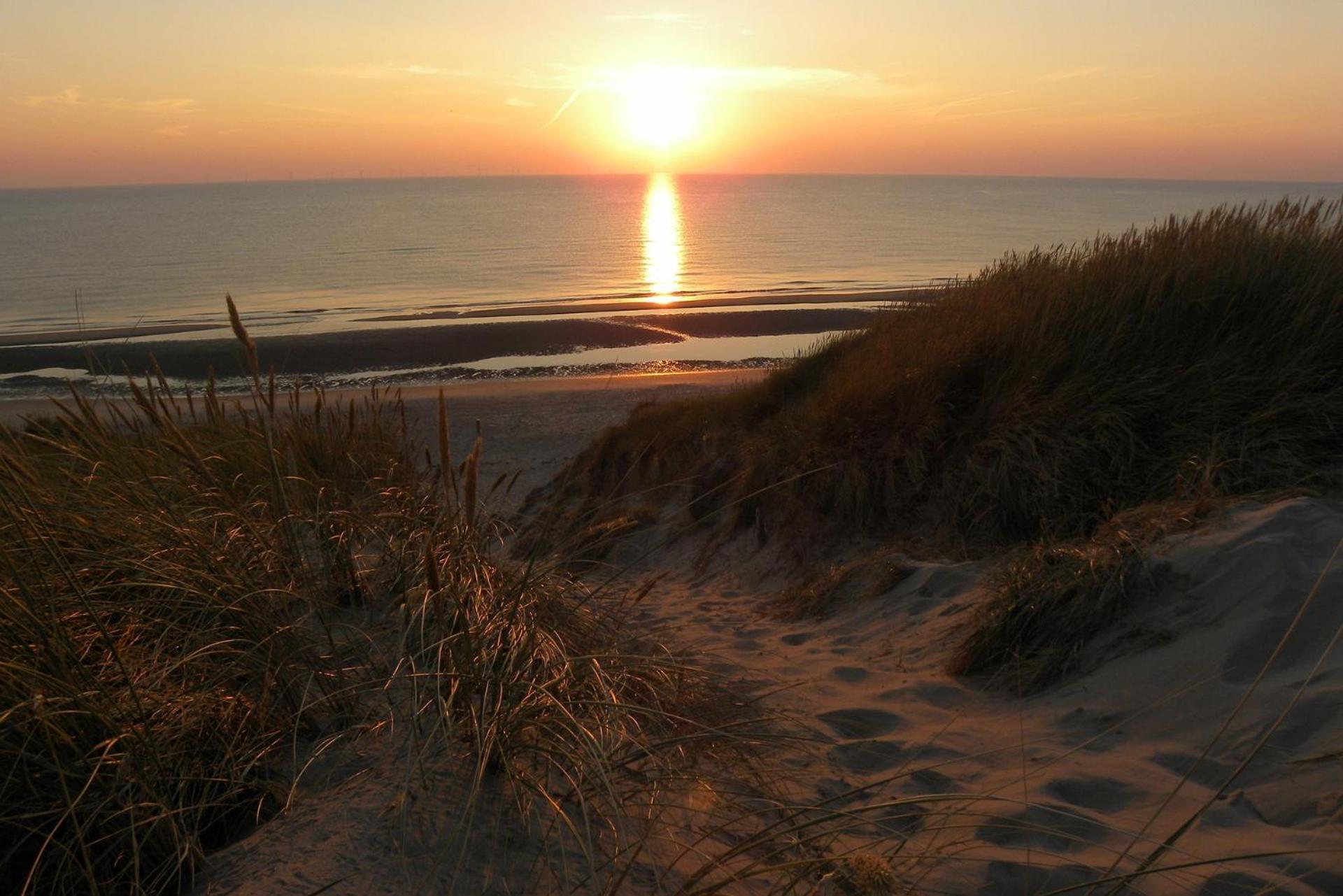 Ammophila 1 Apartamento Egmond aan Zee Exterior foto